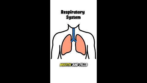 Air enters your lung and then what ?