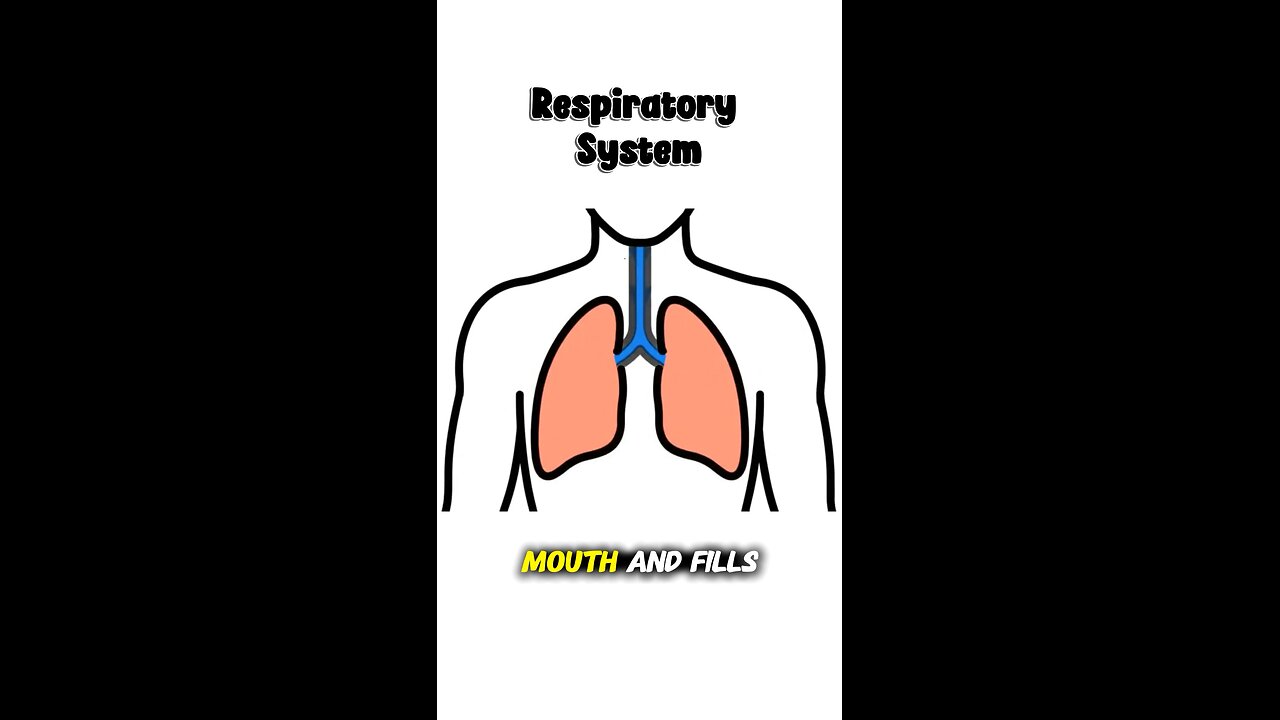 Air enters your lung and then what ?
