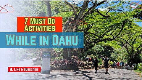 7 Must Do Activities While on the Beautiful Island of Oahu