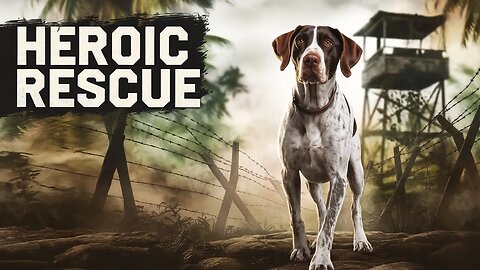 The Inspiring Heroics of Judy, the POW Dog