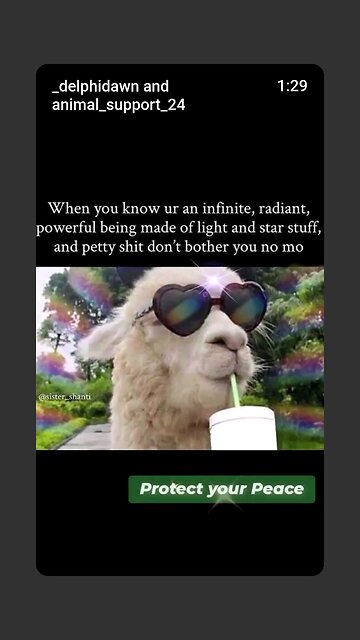 Protect Your Peace #2🧿