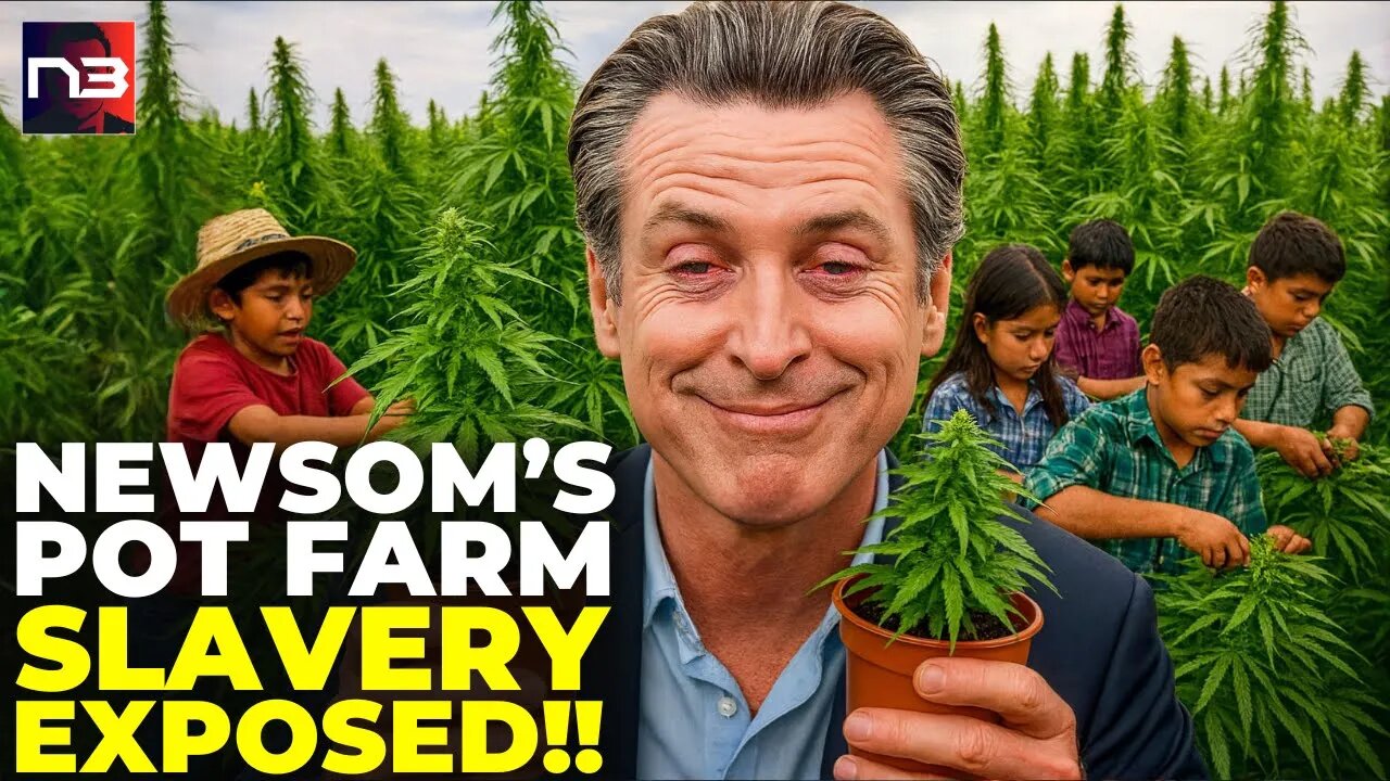 Alert: Newsom's DONOR Caught Using CHILD SLAVES on Marijuana Farm - 10 Kids RESCUED!