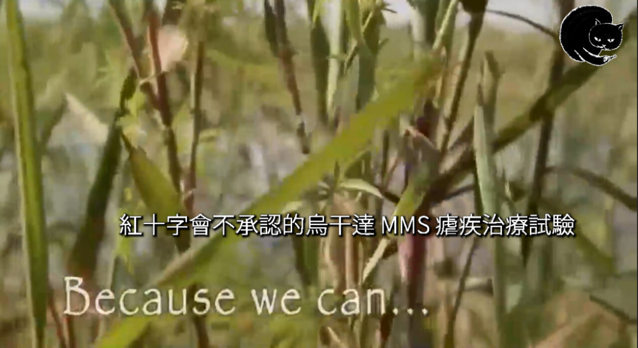 紅十字會不承認的烏干達 MMS 瘧疾治療試驗