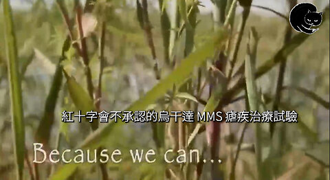 紅十字會不承認的烏干達 MMS 瘧疾治療試驗