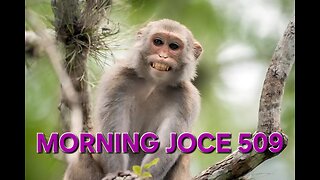 Morning Joce 509: Infected Monkey Released, African Woman Date FBA Men, Amanda Seales, Keke Palmer‼️