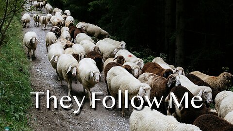 They Follow Me - John 10:22-30 - 4th Sunday of Easter, May 11, 2025