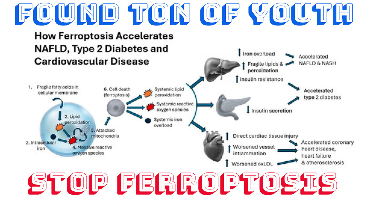 #CellMechanisms to Stop #Ferroptosis #insulinresistance with #C15FattyAcid #drstephanievennwatson