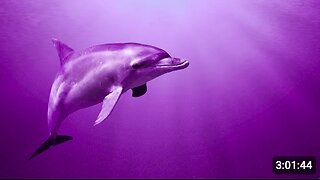 Raise Positive Vibration | 528Hz Positive Energy | Self Healing Frequency | Healing Miracle Music