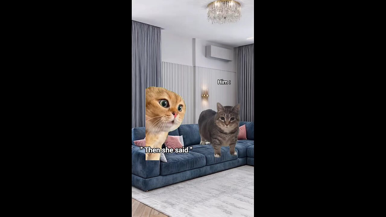 he when I am talking about something serious 🤣