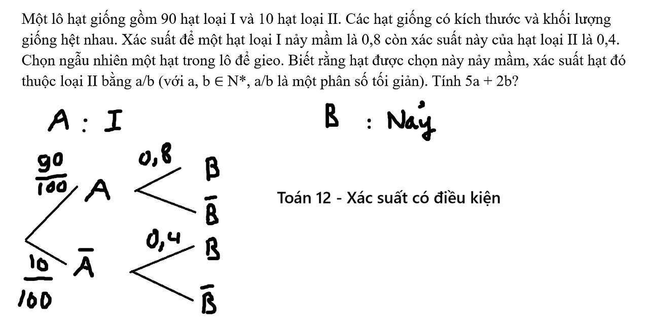Toán 12: Một lô hạt giống gồm 90 hạt loại I và 10 hạt loại II. Các hạt giống có kích thước
