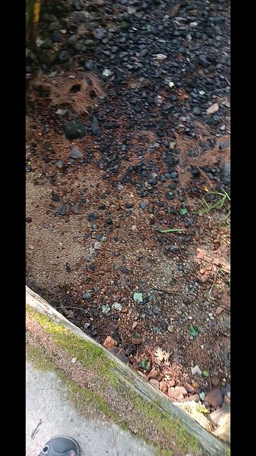 drought central NH 2025