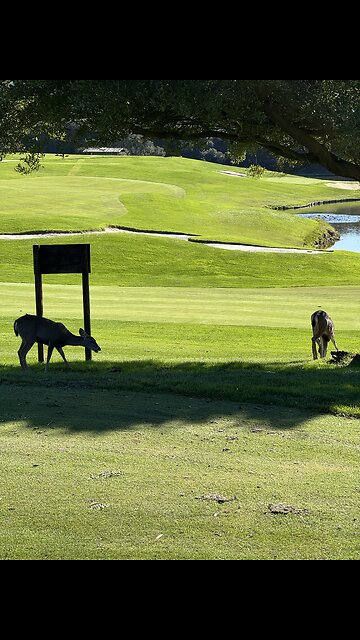 La Purisima Golf Course