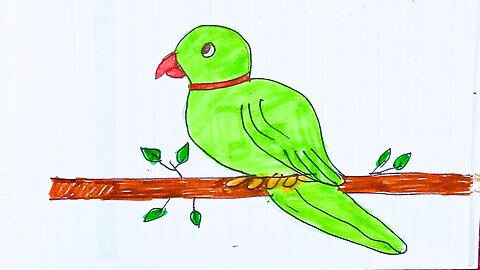 How to draw parrot drawing | Parrot Drawing Easy | parrot drawing with Colour