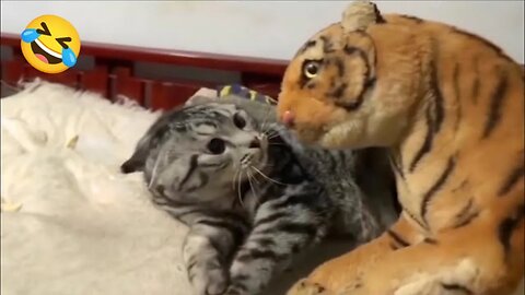 Funny Dogs And Cats Videos 2024 😅- Best Funnies Animal Video Part39