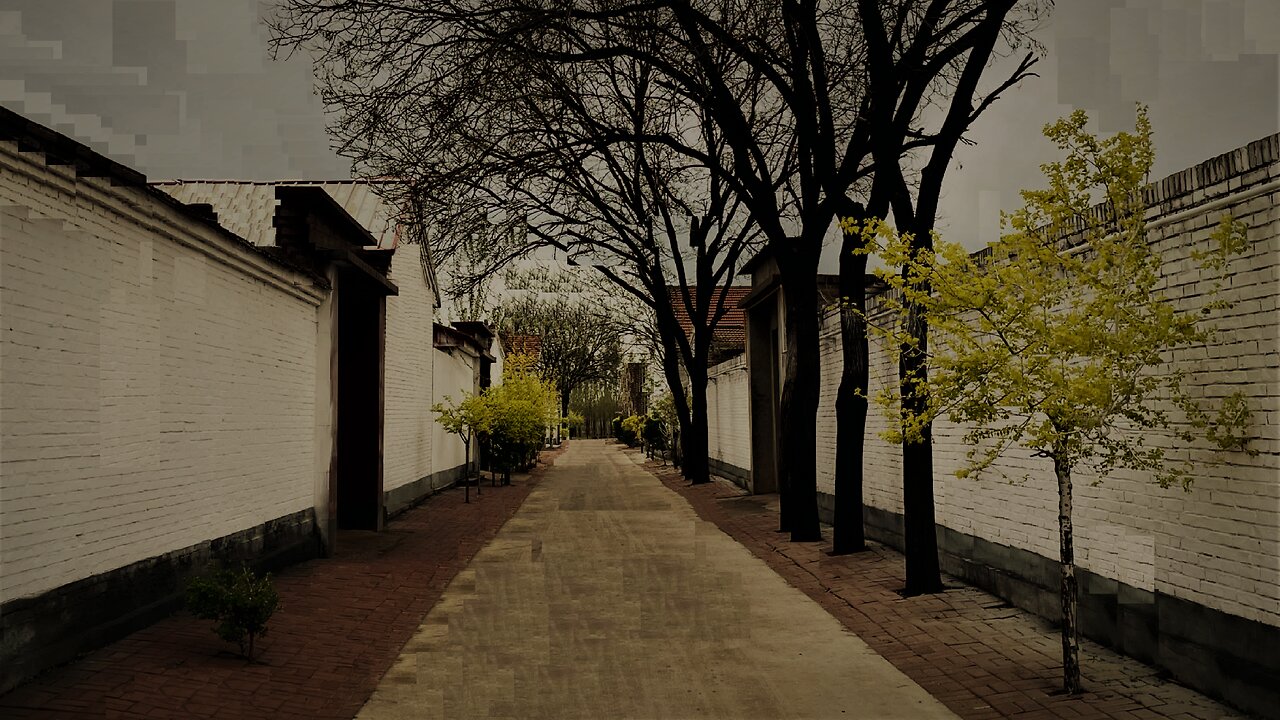 Heilongjiang no.0.39