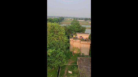 পার্বতীপুর হ্যাচারির চারপাশ | প্রকৃতি, মাছ ও জীবনের ছোঁয়া