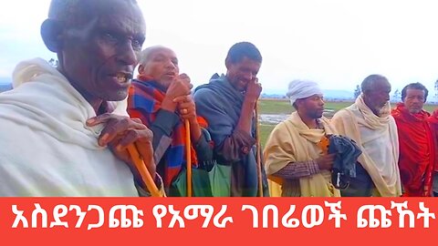 አስደንጋጁ የአማራ ገበሬወች ጩኸት