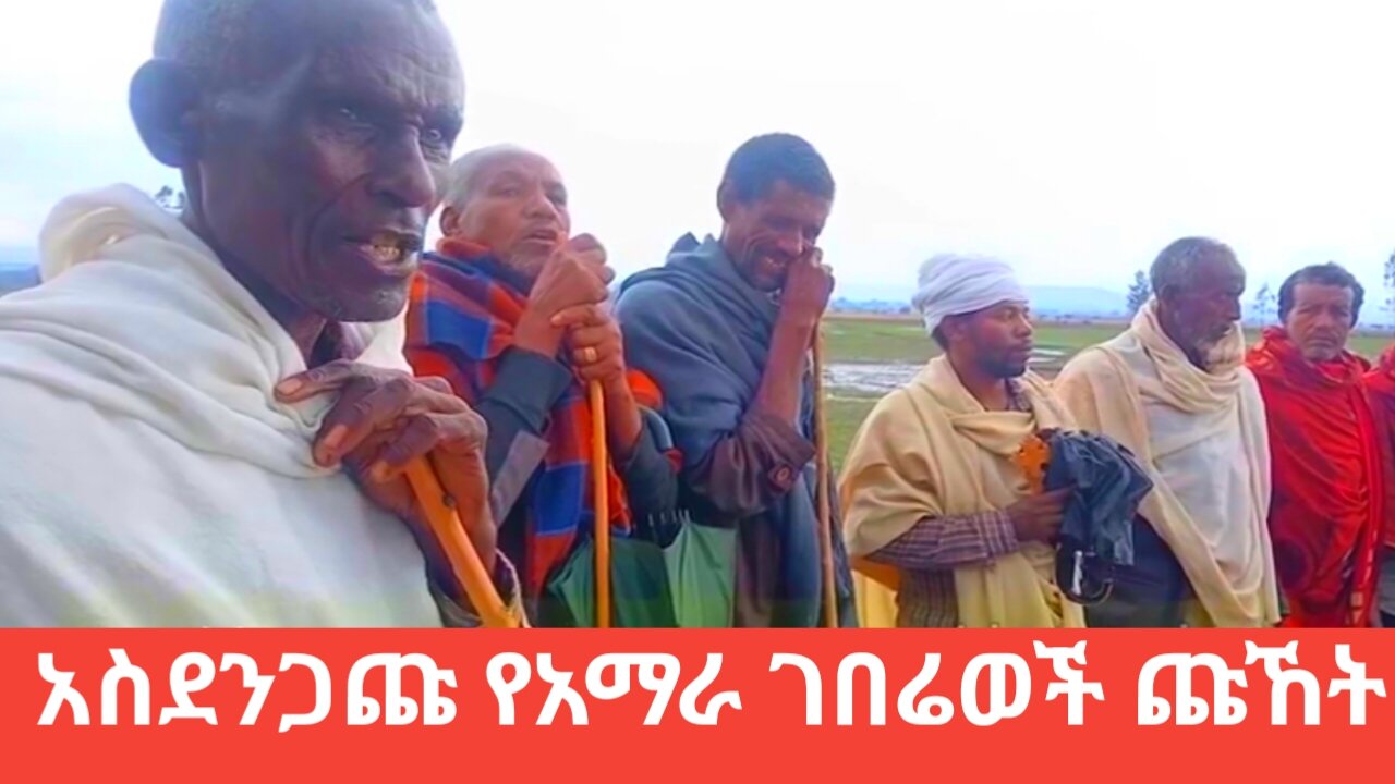 አስደንጋጁ የአማራ ገበሬወች ጩኸት