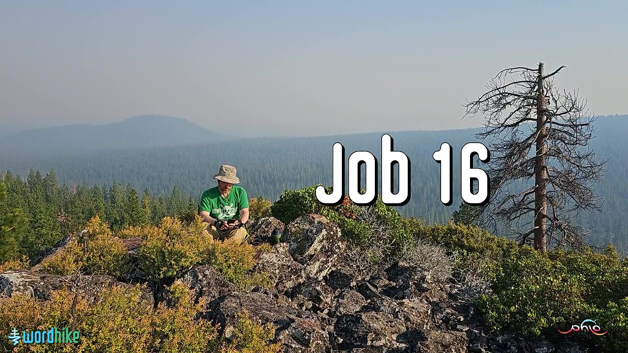 Job 16