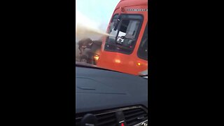 Bus Driver vs Driver – Unbelievable Reaction! Colectivero vs Automovilista – ¡Reacción Increíble! 😱🤣