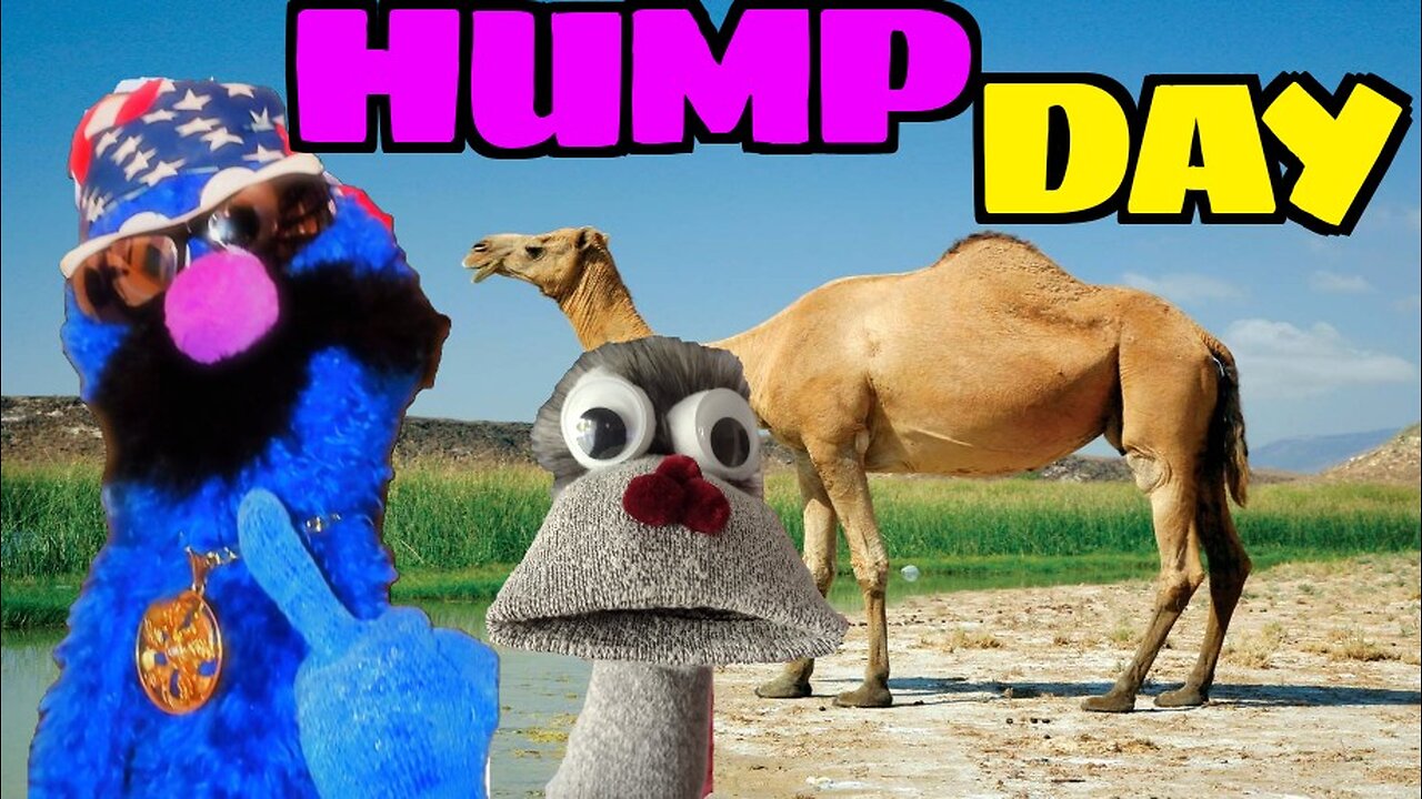 Hump Day | The Hump Is Not For Chumps