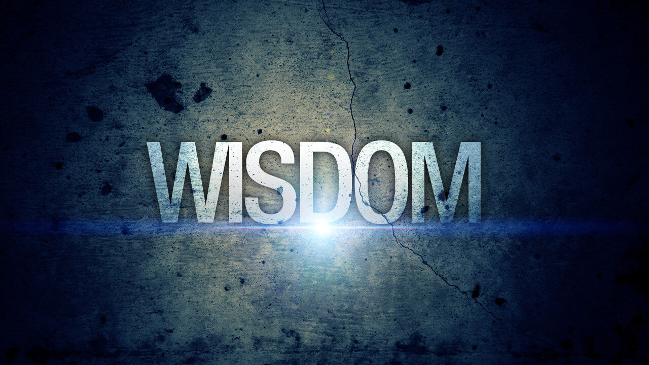 Why the Modern World Glorifies Stupidity – The Dark Attempt of Slaying Wisdom