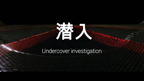 潜入 Undercover investigation