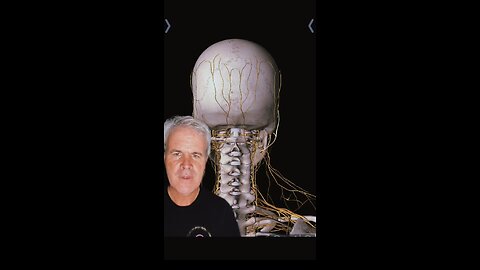 Natural relief from chronic health issues |vertigo|post concussion neck pain Neckwise upper cervical