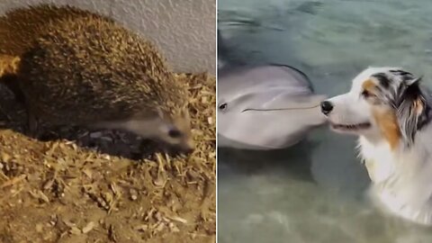 These shots will remind you that nature is a real miracle!