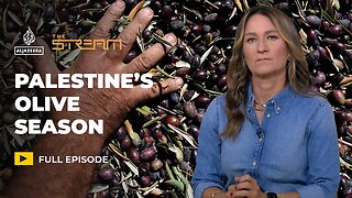 Why the Olive Harvest in Palestine Is More Than Just Farming | The Stream