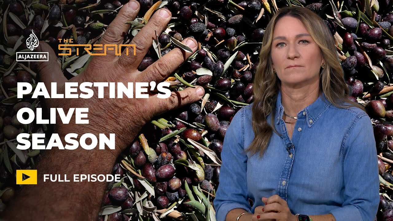 Why the Olive Harvest in Palestine Is More Than Just Farming | The Stream