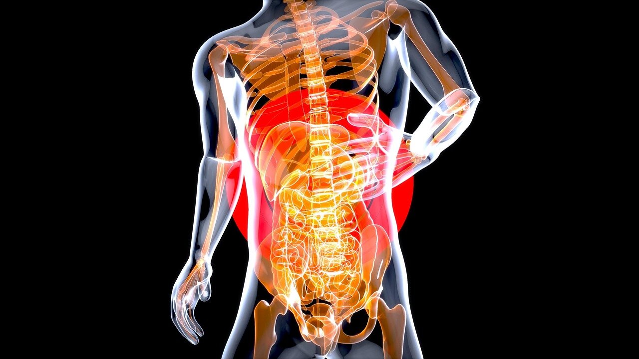 Ready to Feel Better Every Day? Meet DigestiStart