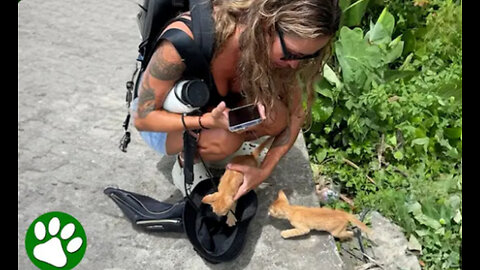 Woman noticed something moving in the bush