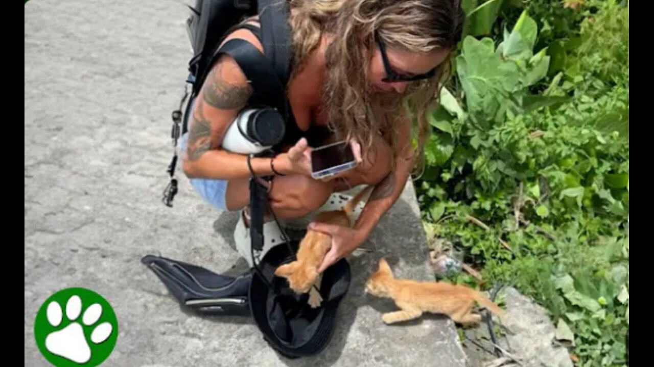 Woman noticed something moving in the bush