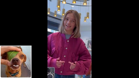 A little bit of everything series (episode 18: Talent)