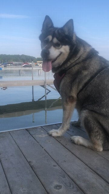 Monday August 11, He was oppressed and treated, harshly yet he never said a word.