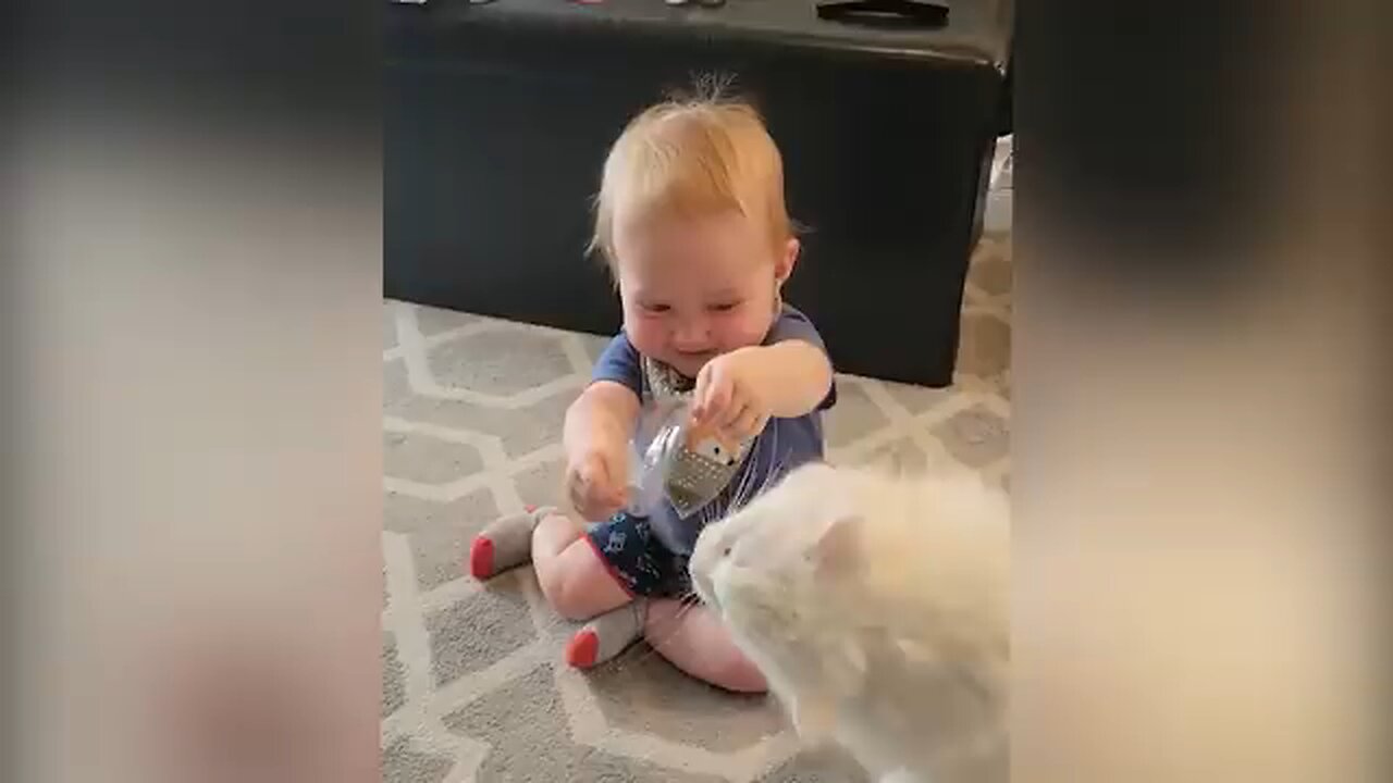 cutest baby play with dog n cats