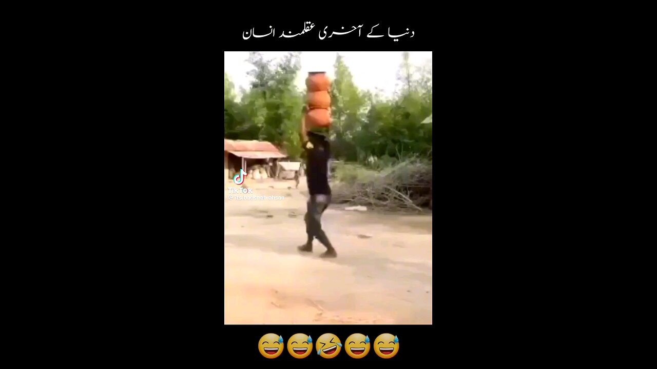 try to stop laughing