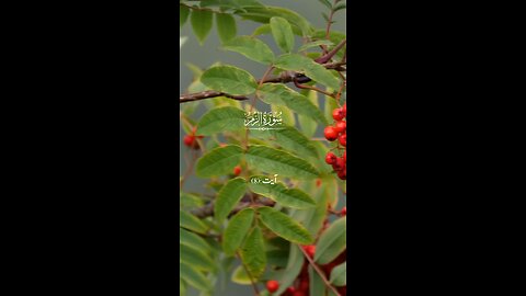 Quran, Surah Yasin peaceful quran recitation