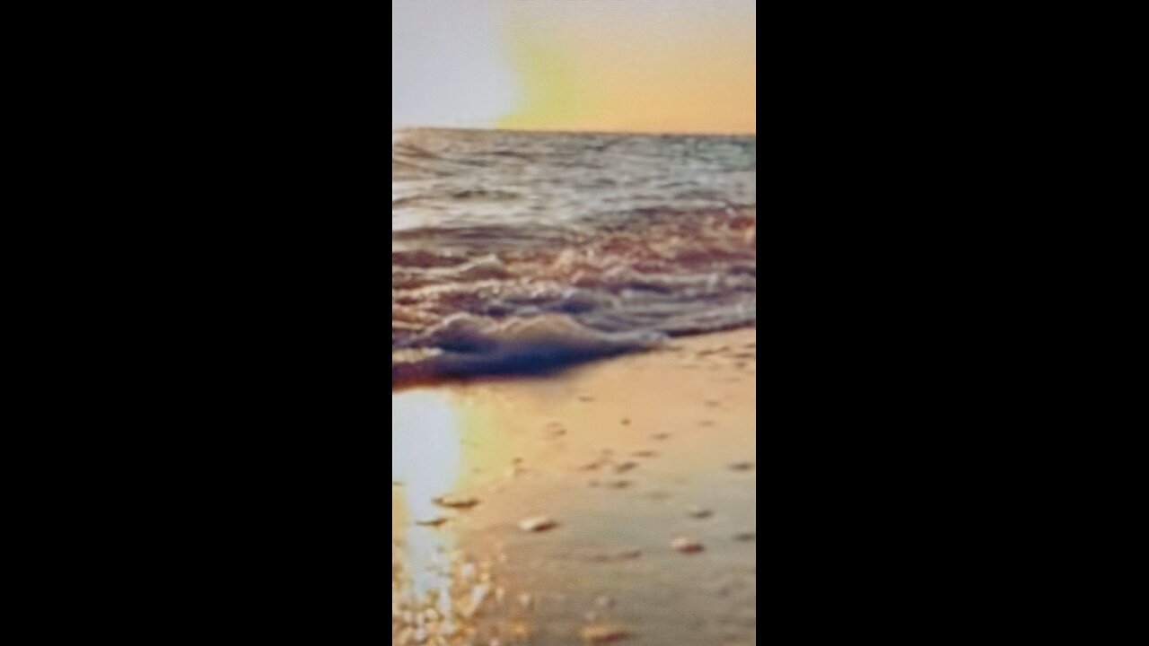 Video 5