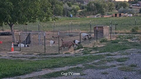 Graham Family Farm NW: 9:00 PM July 11 2025