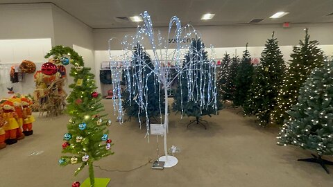 Boscov's Christmas Shopping