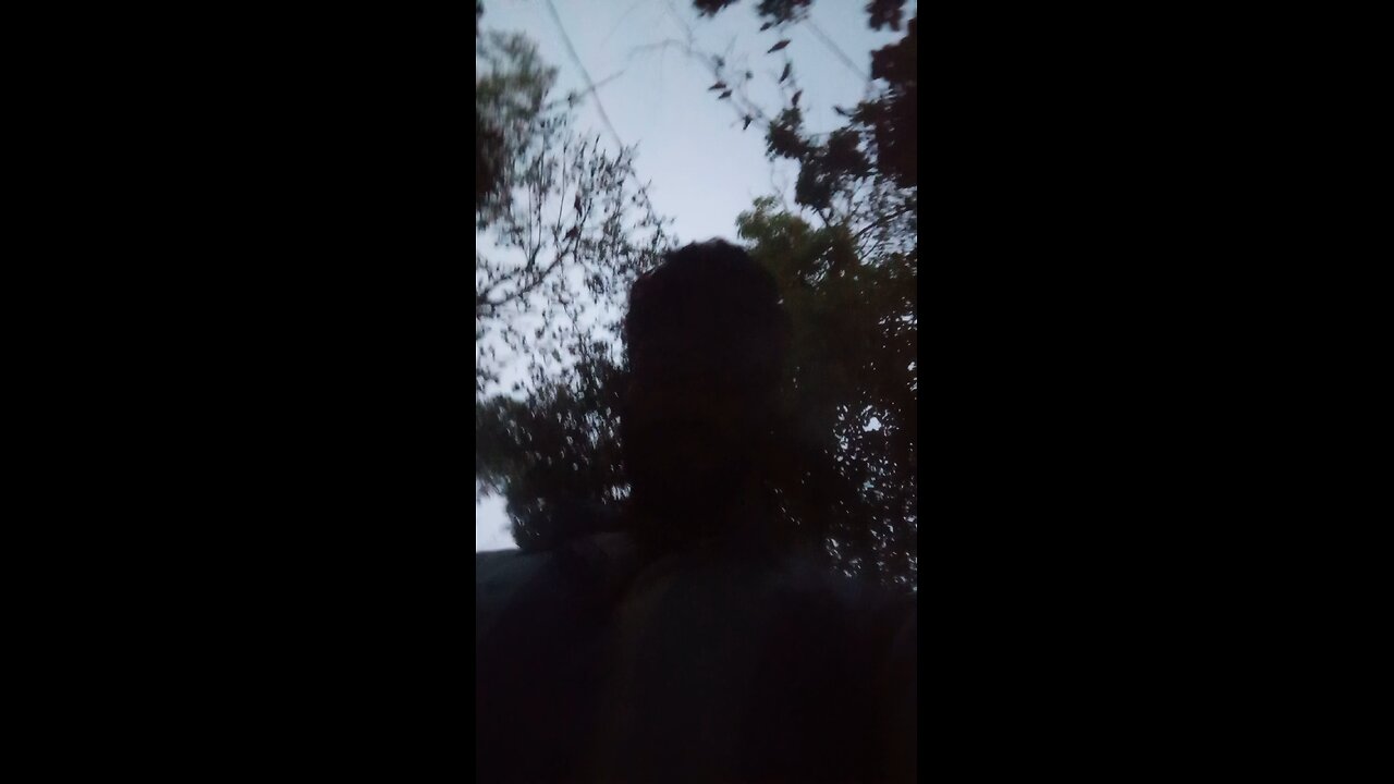 An afternoon 一個下午 una tarde एक दोपहर ek dopahar #anafternoon #一個下午 #unatarde #एकदोपहर #ekdopahar