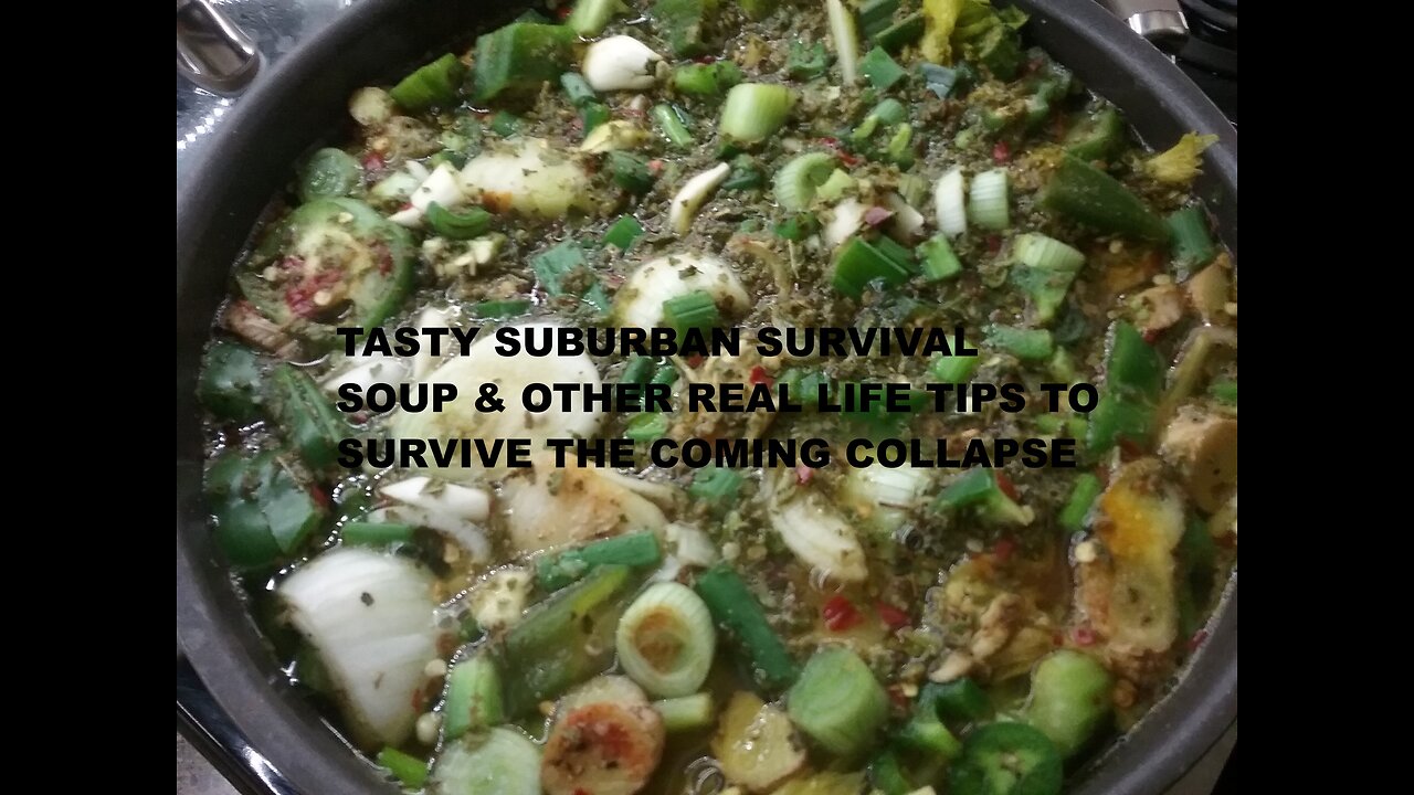 SURVIVING SUBURBIA FOOD: TASTY SURVIVAL SOUP & REAL LIFE TIPS