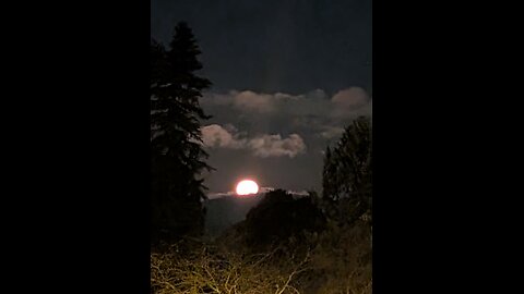 😶‍🌫️Artwork 🇨🇦❤️🇺🇲Politics🪂 Chat🫥