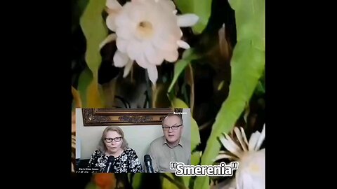OLTEA HOZAN POEZIA -SMERENIA- editată de Valentin Trif #poezie #creștinism #poetry