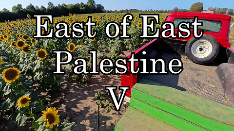 East of East Palestine V