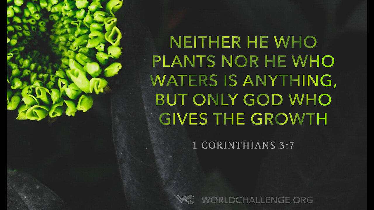 Verse Of The Day : 1 Cor 3:7 NLT What’s important is that God makes the seed grow.