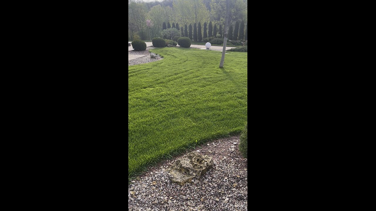 birds singing