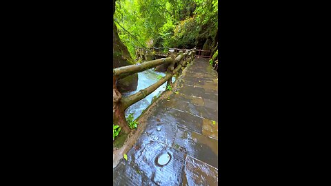 nature beauty